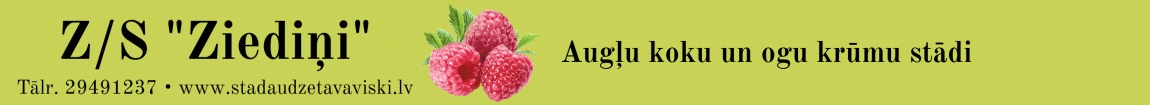 "Ziediņi", ZS