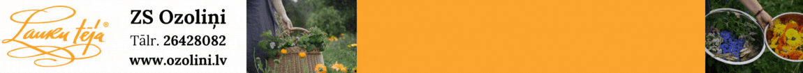 "Ozoliņi", ZS