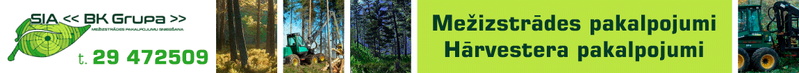 "BK Grupa", SIA