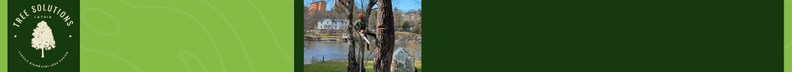 "Tree Solutions Latvia", SIA