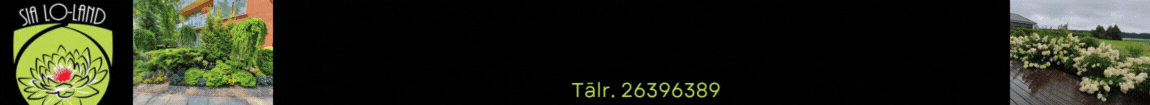 "LO-Land", SIA