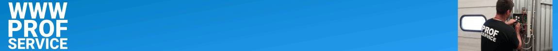 "WWW PROF SERVICE", SIA