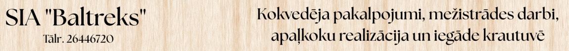 "Baltreks", SIA