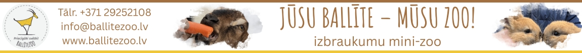 "BallīteZoo", SIA