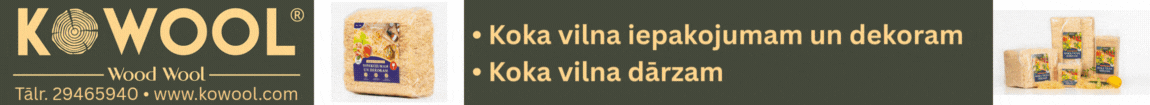 "WWT Baltic", SIA
