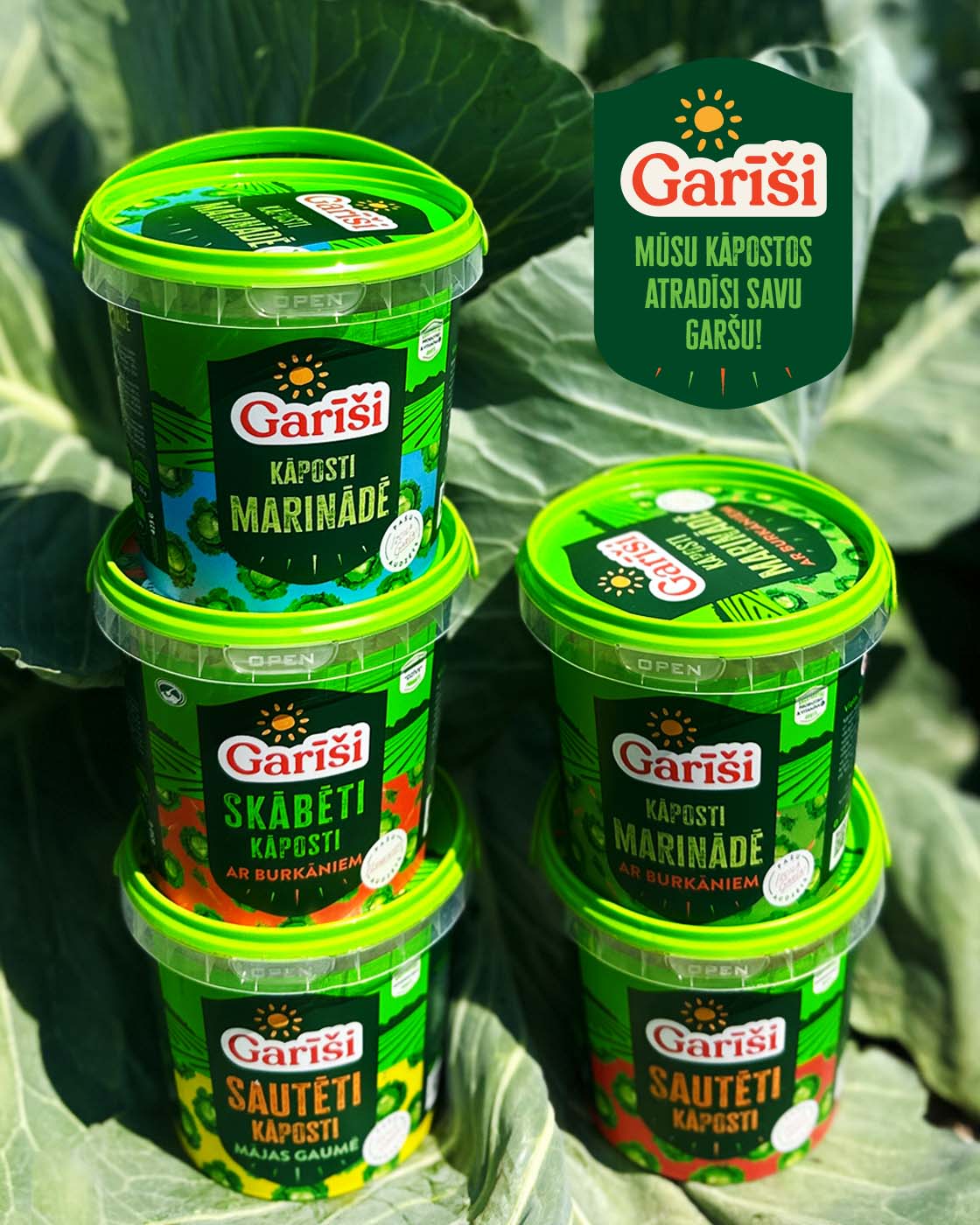 Skābēti, sautēti un marinēti kāposti