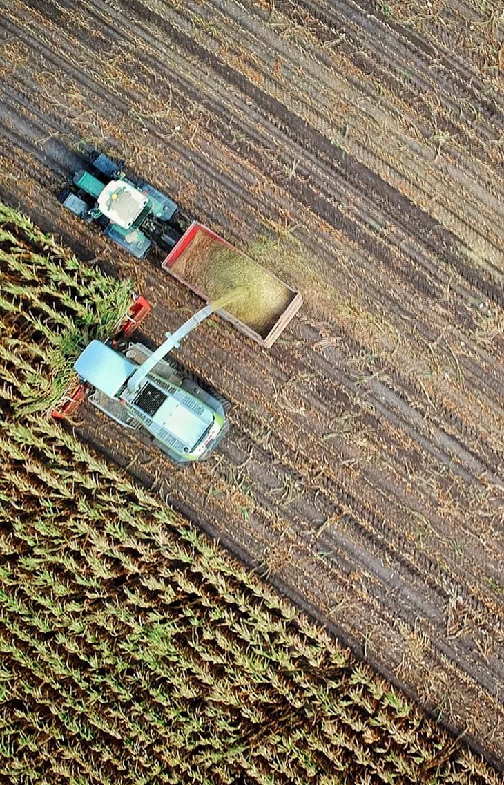 Graudu placināšana