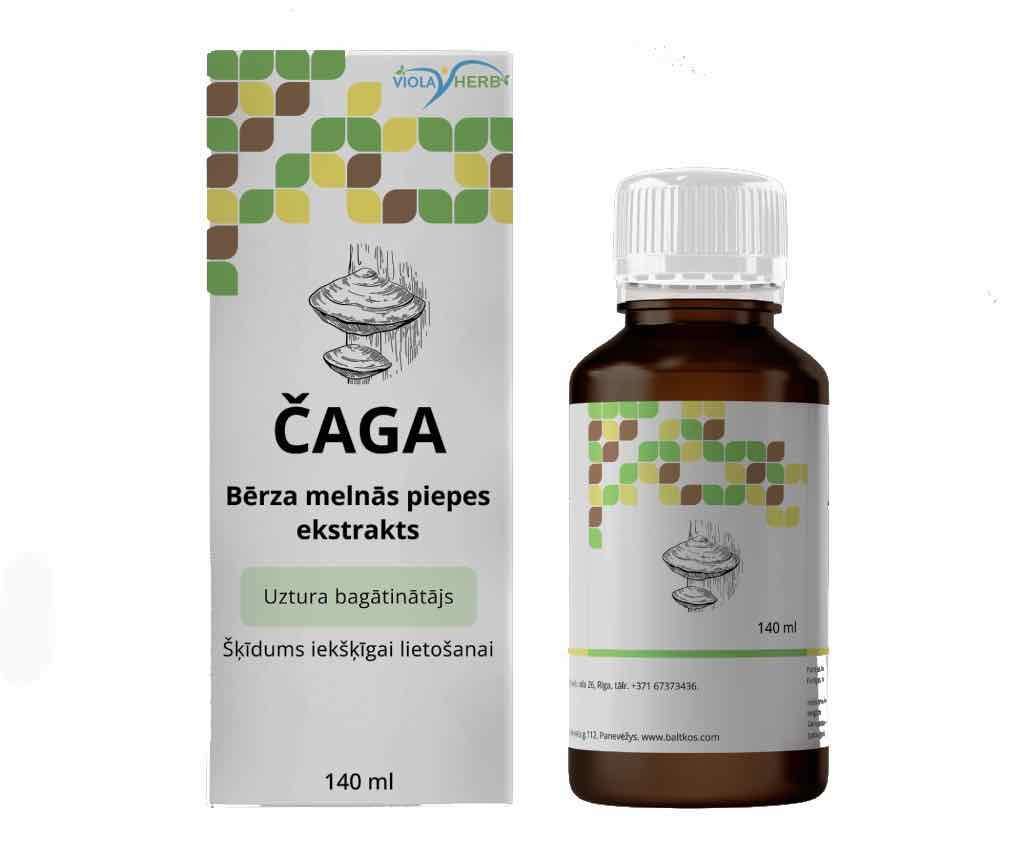 Čaga ekstrakts