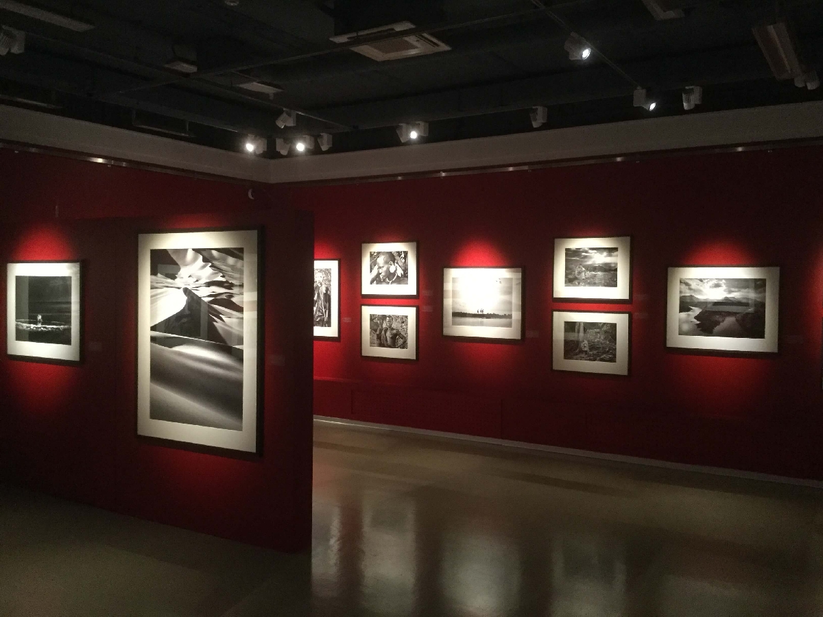 Mākslas galerija, Sanktpēterburga