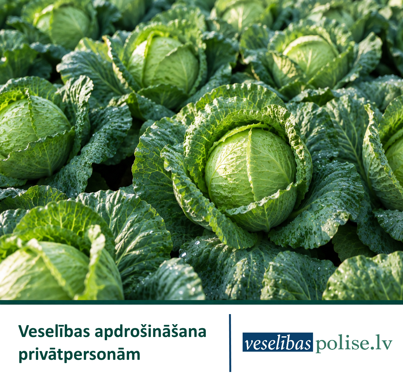 Veselības apdrošināšana privātpersonām