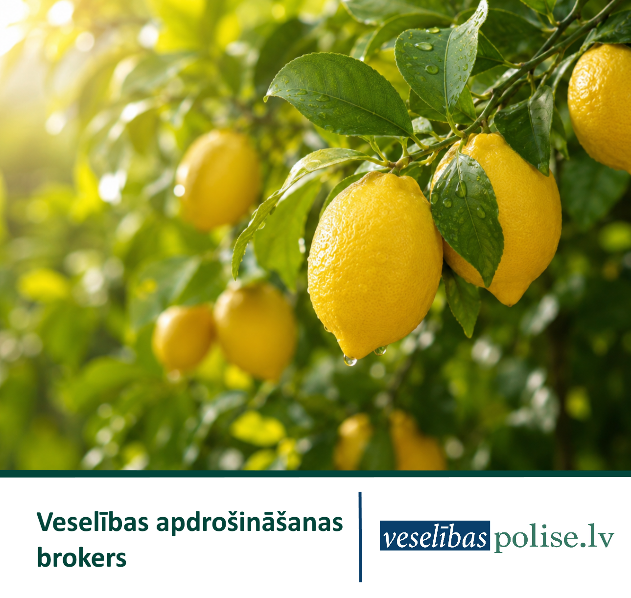 Veselības apdrošināšanas brokers