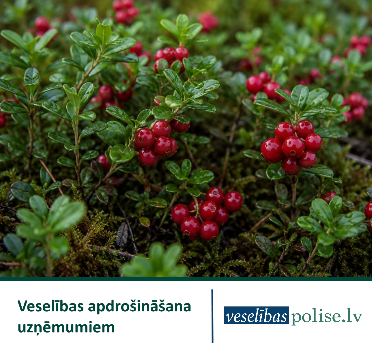 Veselības apdrošināšana uzņēmumiem