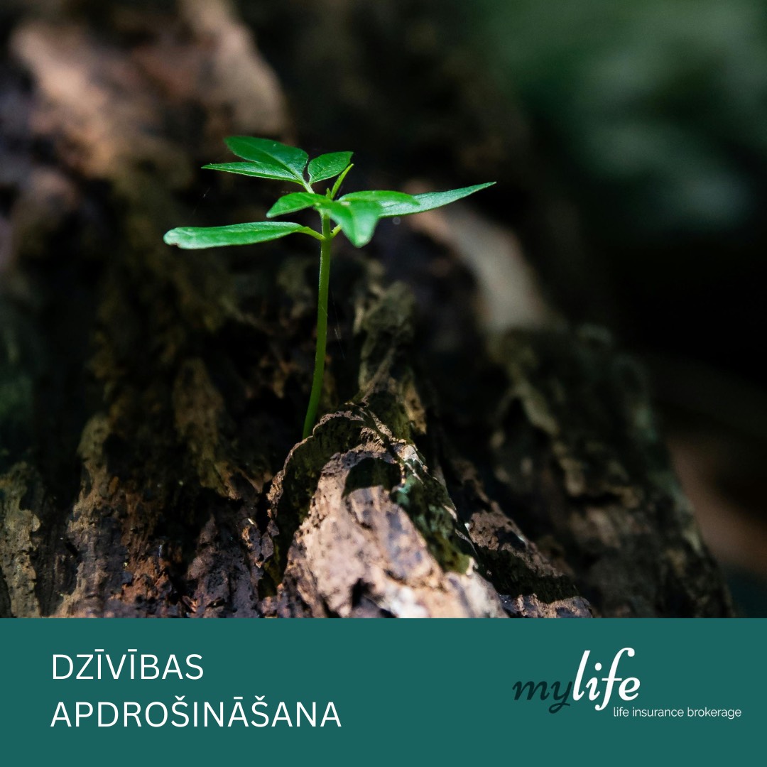 Dzīvības apdrošināšana