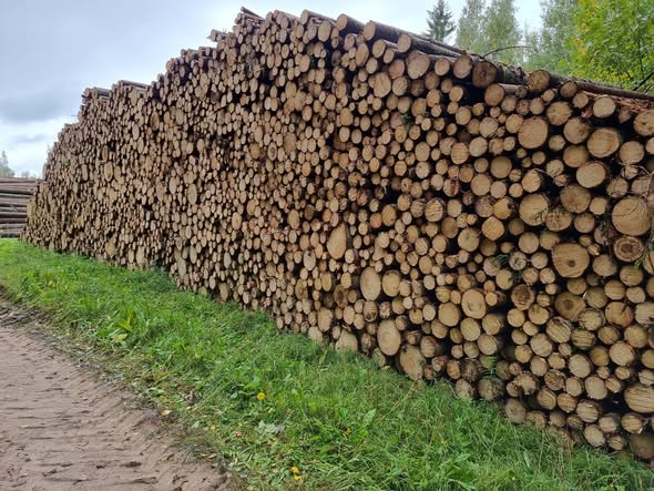 Kokmateriālu transportēšana