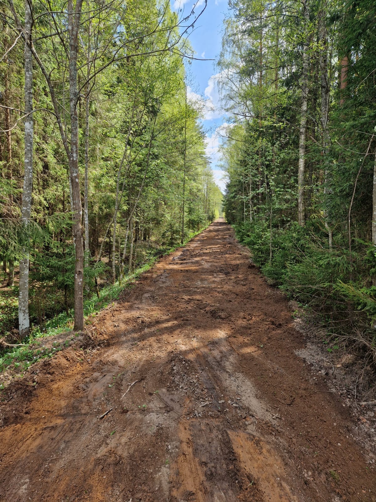 Meža ipašumu pirkšana Vidzemē