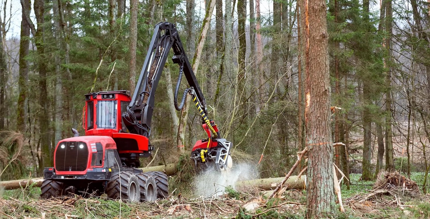 Cirsmu un mežu iepirkšana