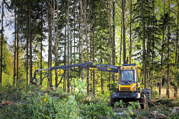 mežizstrāde, kokmateriālu piegāde