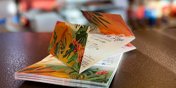 Drukas pakalpojumi, bilžu attīstīšana, lielformāta druka