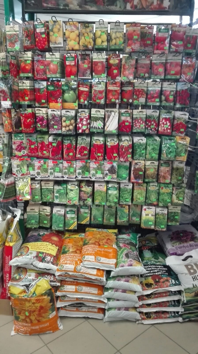 Sēklas, stādi Valmiera