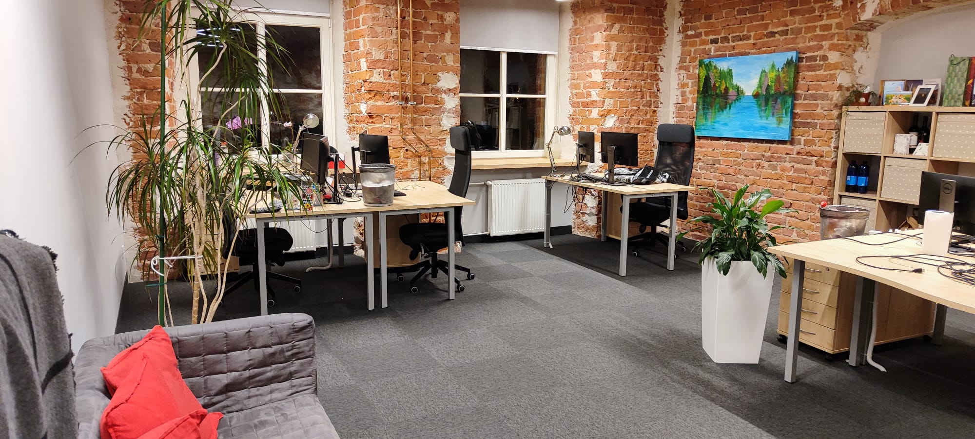 Paklāju un mīksto grīdas segumu tīrīšana