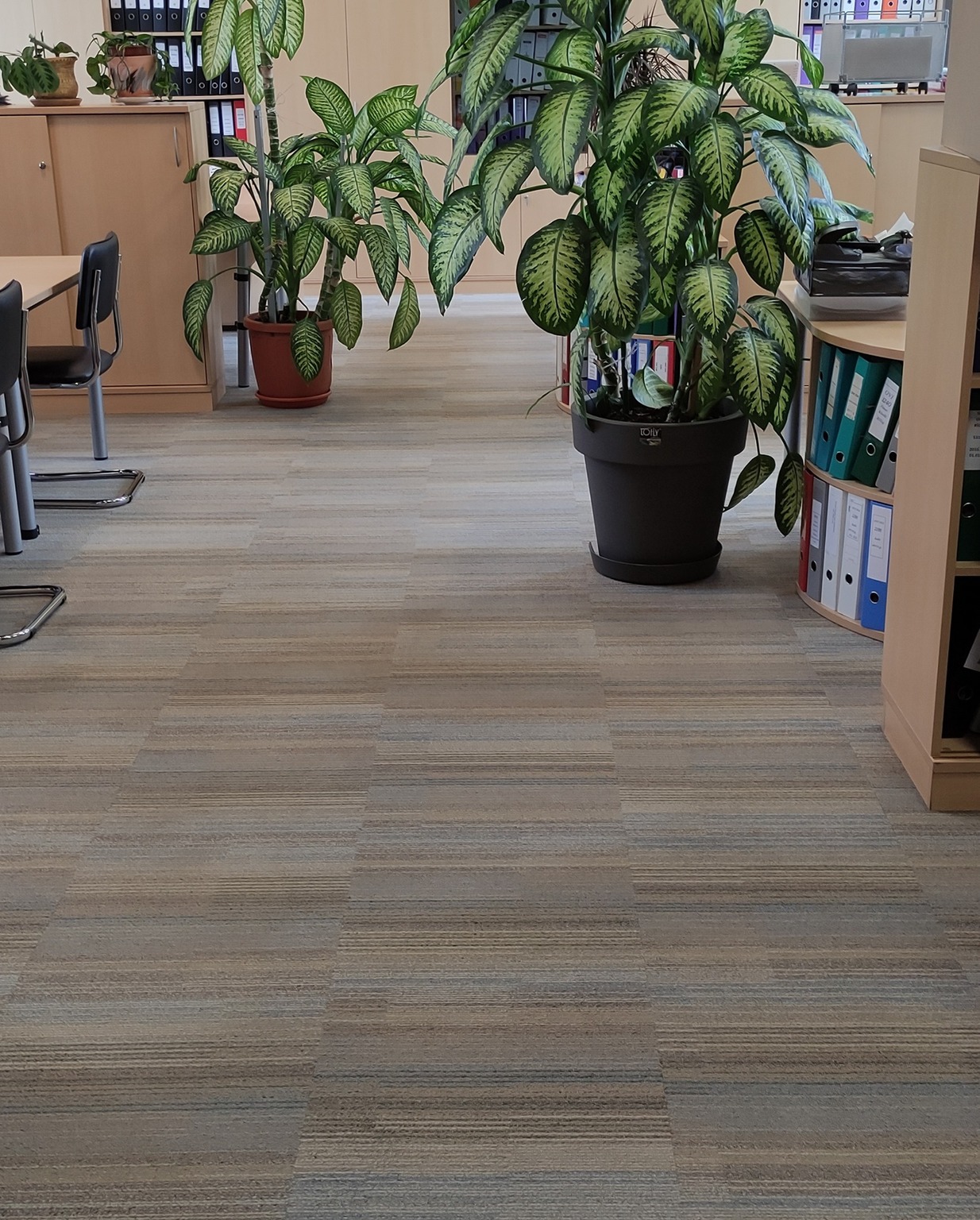 Mīksto grīdas segumu tīrīšana