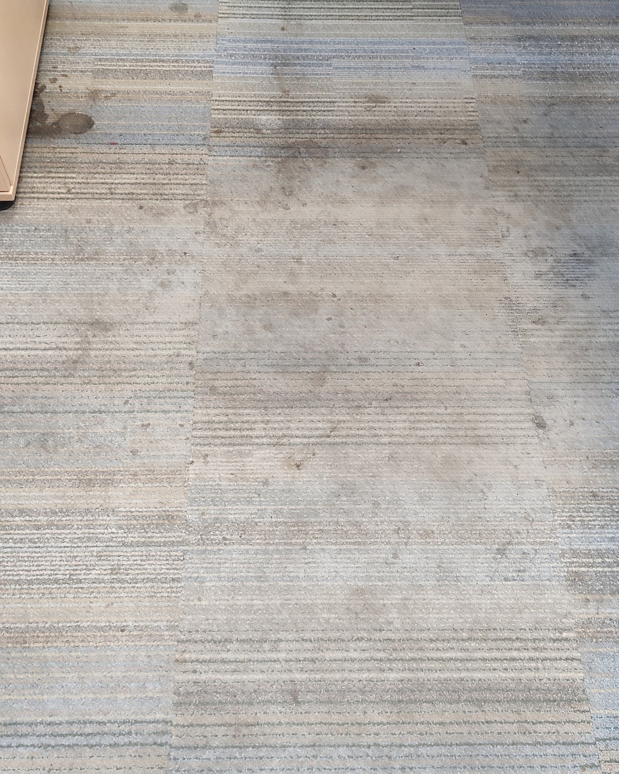 Mīksto grīdas segumu tīrīšana