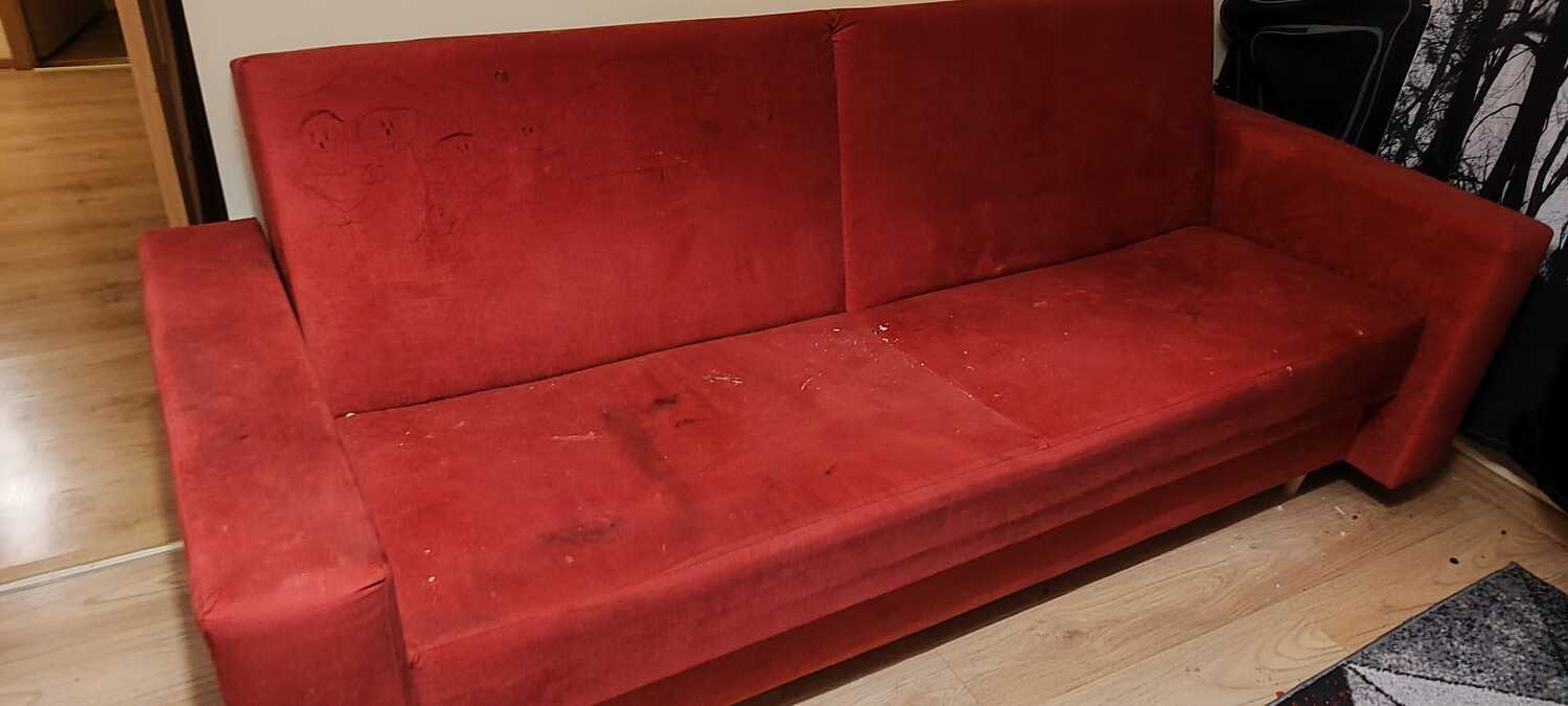 Notīram dzīvnieku spalvas un smakas