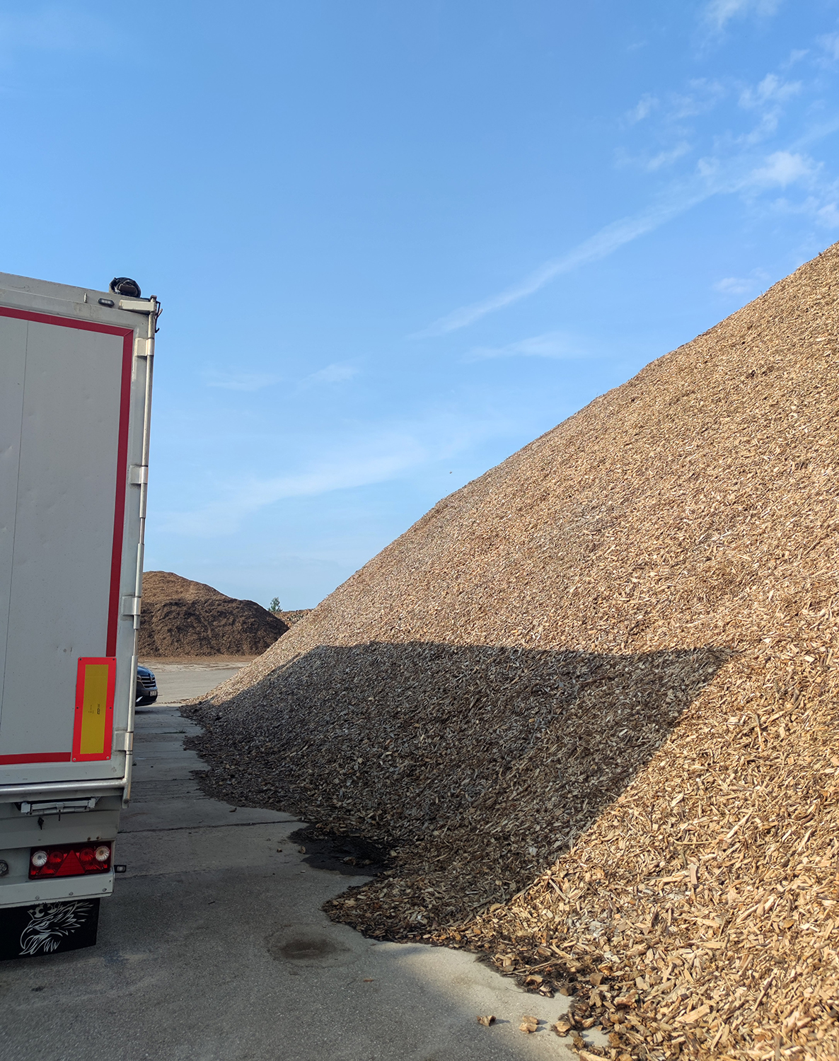 šķeldas iepirkšana