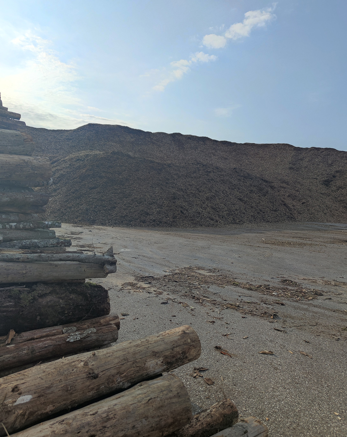 apaļkoku iepirkšana