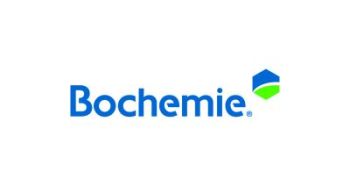 Bochemite