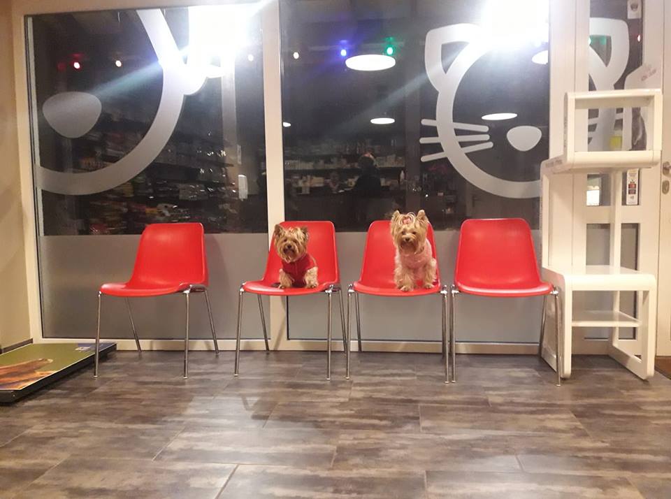 GROBIŅAS VETERINĀRĀ KLĪNIKA