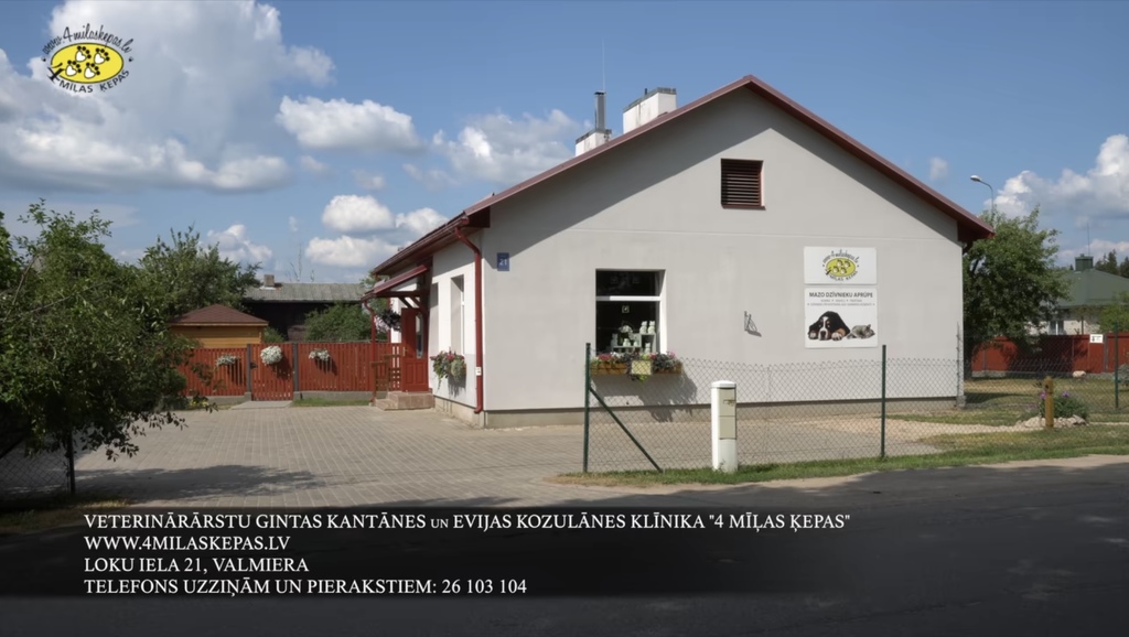 4 Mīlas Ķepas – vieta, kur rūpējas par dzīvnieku veselību un labsajūtu.