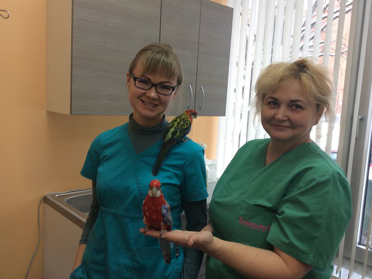 Veterinārā klīnika IKAROSS