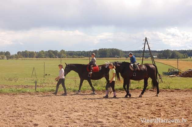Viesu māja Krustpils