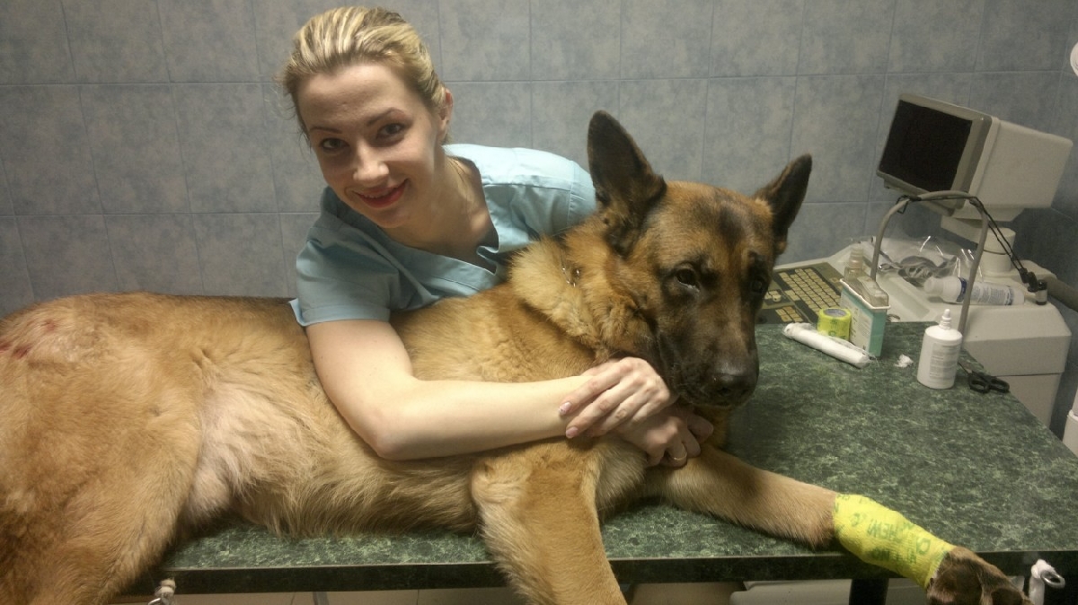 veterinārā klīnika
