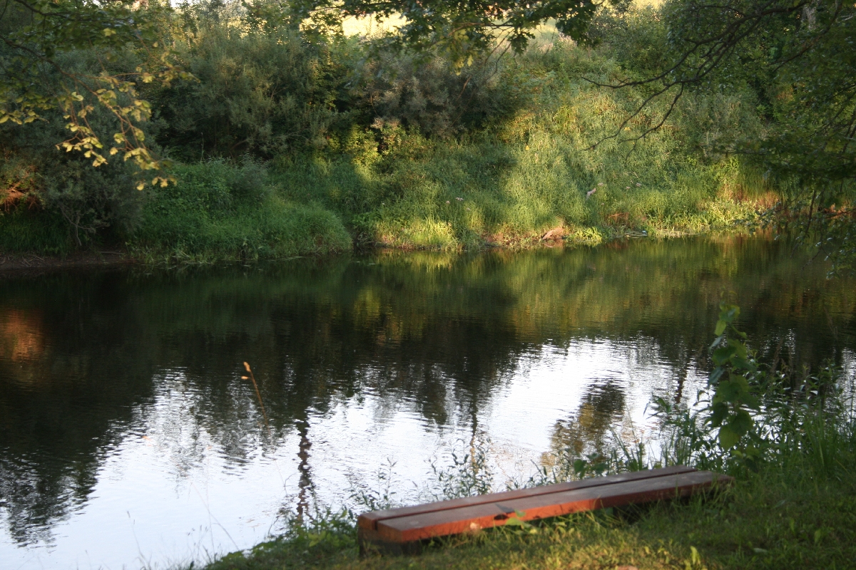 Atpūta pie iviekstes