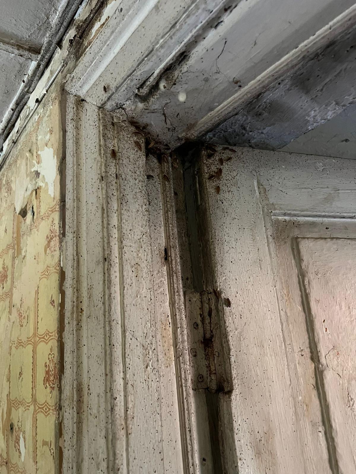 Kaitēkļu iznīcināšana