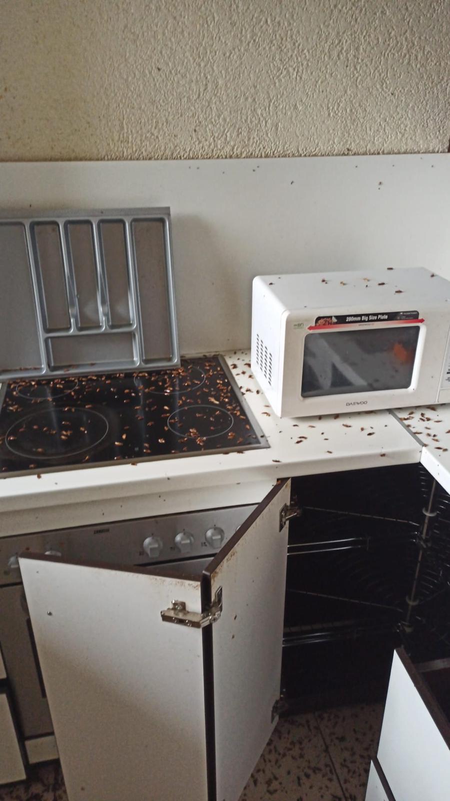 Profesionāla kaitēkļu kontrole