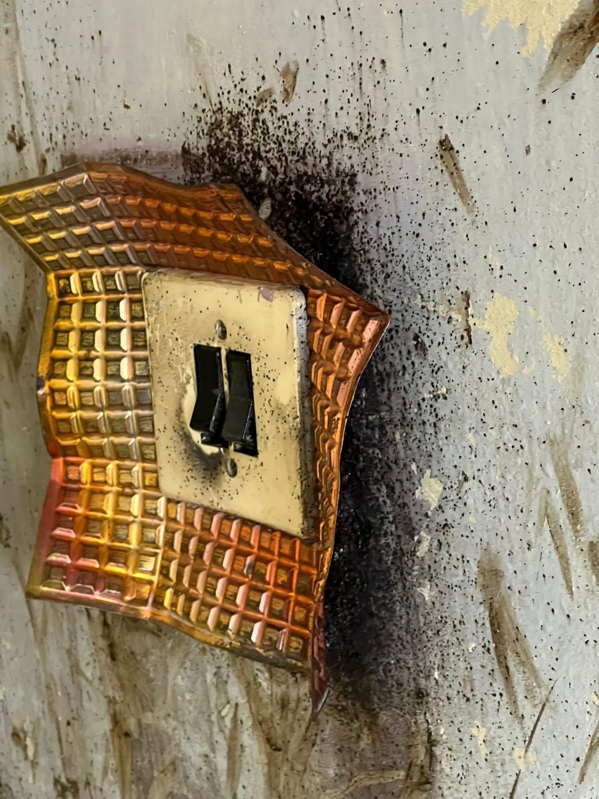 Individuāli kaitēkļu plāni