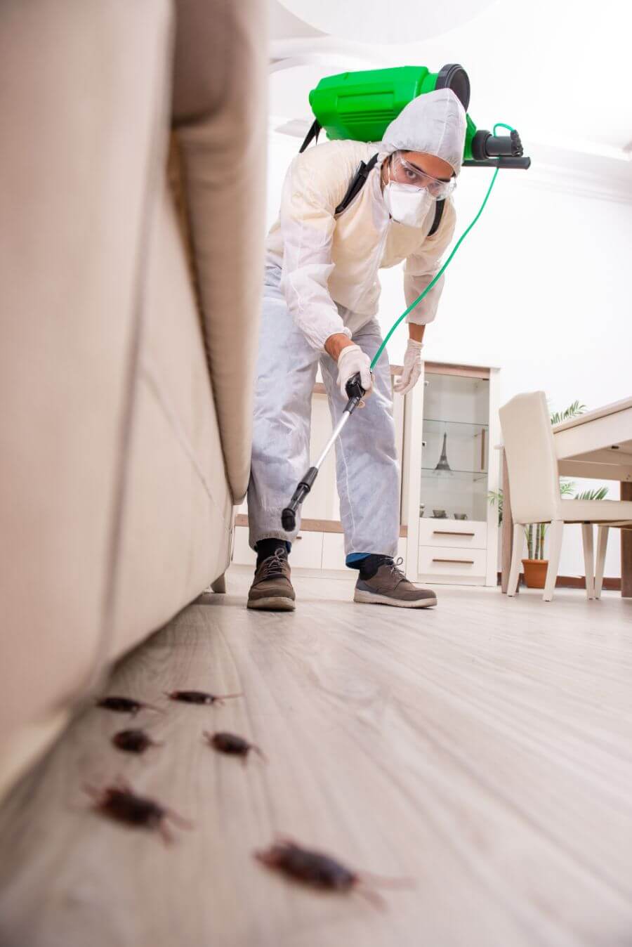 Dezinsekcija telpās