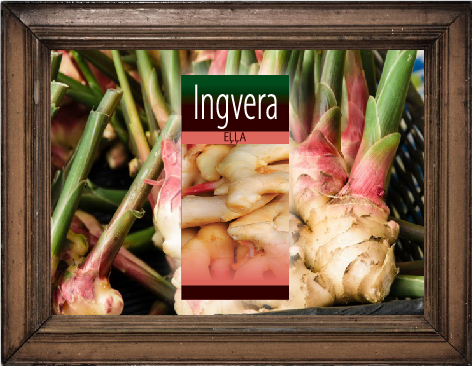 Ingvera eļļa