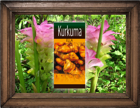 Kurkuma eļļa
