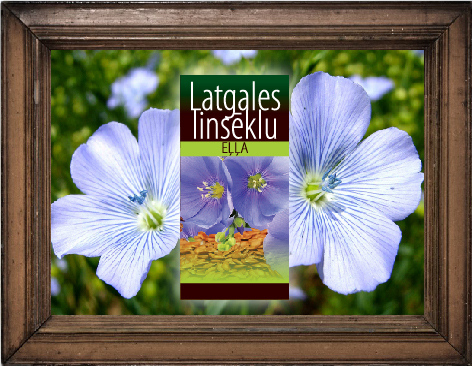 Latgales linsēklu eļļa