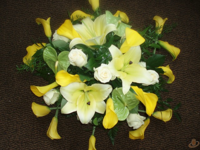 Dzeltenas kallas Talsos