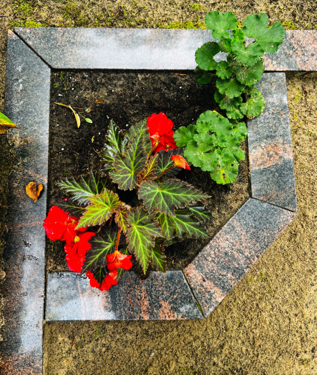 kapu vietu labiekārtošana