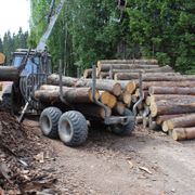 Kokmateriālu iekārta -  zāģbaļķu pārvietošana