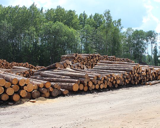 Kokmateriāli - egles zāģbaļķi