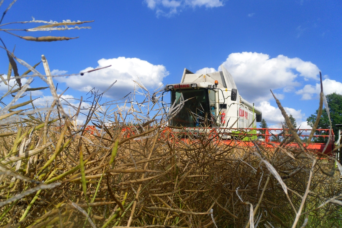 Traktortehnikas pakalpojumi