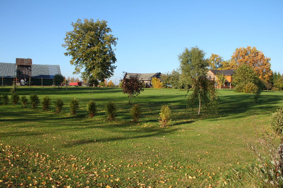 Kalnieši, augkopība