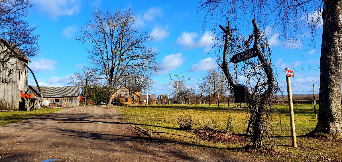 Kalnieši, augkopība